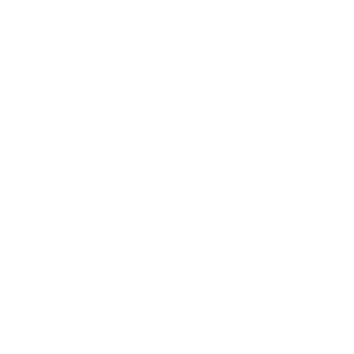 KINEZIOLOGIE ONE BRAIN logo white